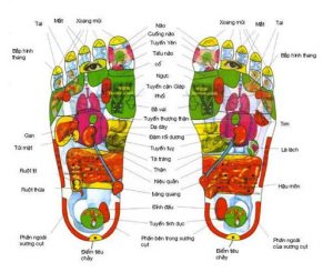 massage chân Tphcm giúp dễ dàng lưu thông tuần hoàn máu